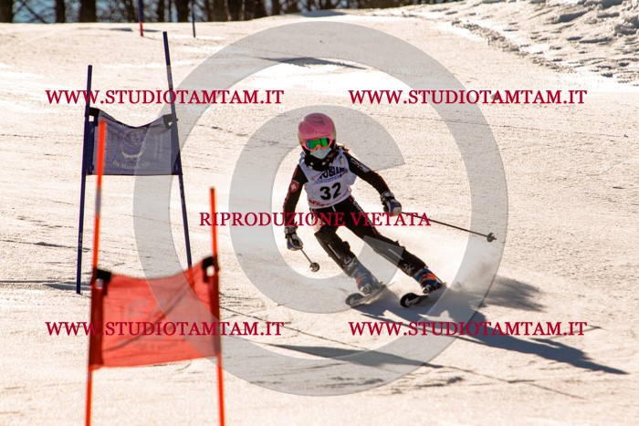 MAT_5376.jpg