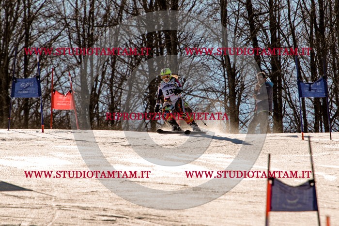 MAT_5380.jpg