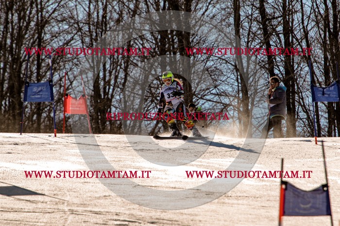 MAT_5381.jpg