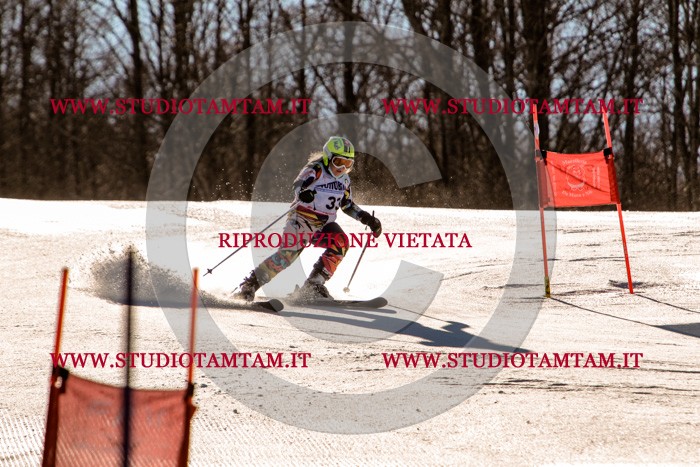 MAT_5382.jpg
