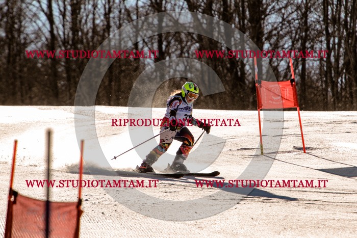 MAT_5383.jpg