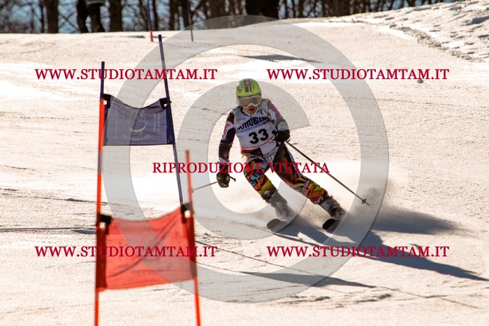 MAT_5384.jpg