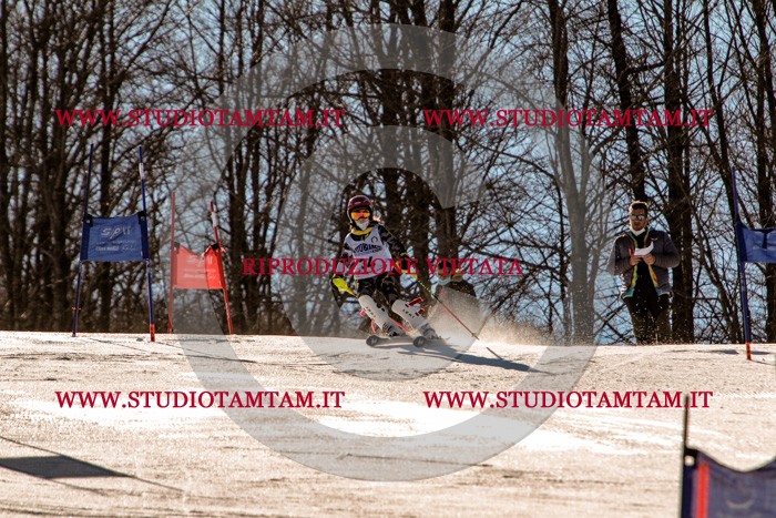 MAT_5388.jpg