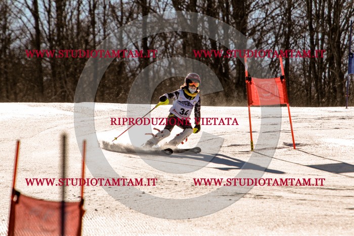 MAT_5390.jpg