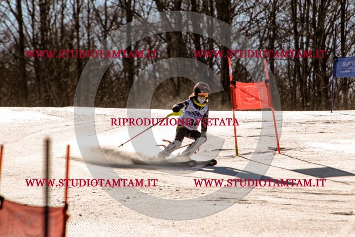 MAT_5391.jpg