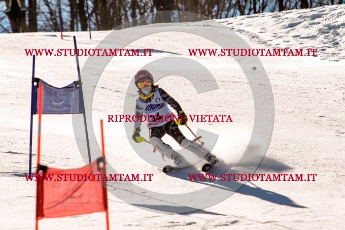 MAT_5392.jpg