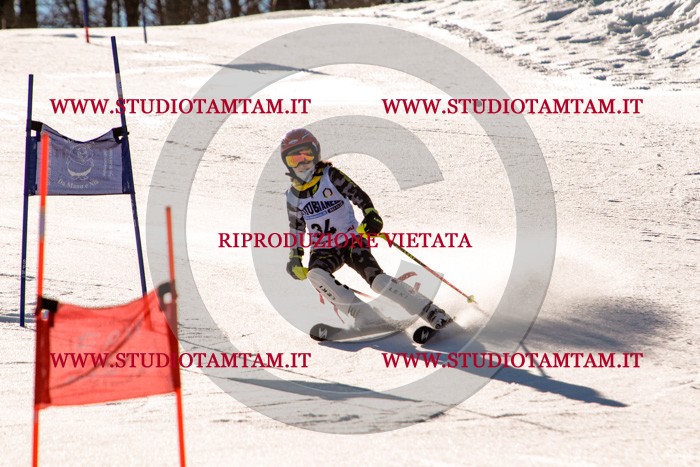 MAT_5393.jpg