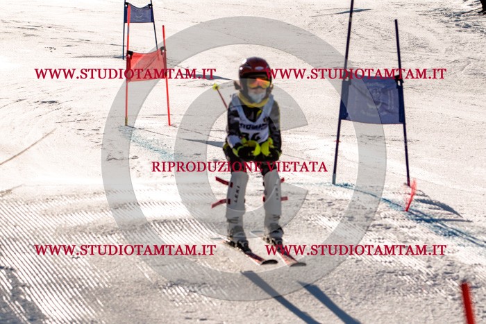 MAT_5395.jpg