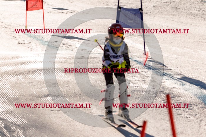 MAT_5396.jpg