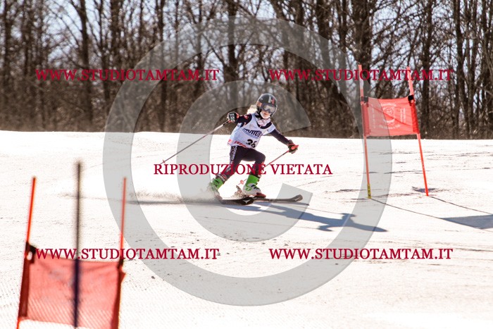 MAT_5399.jpg