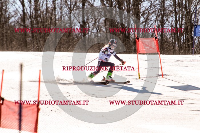 MAT_5400.jpg
