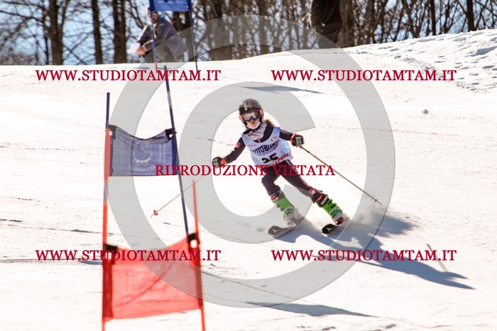 MAT_5401.jpg