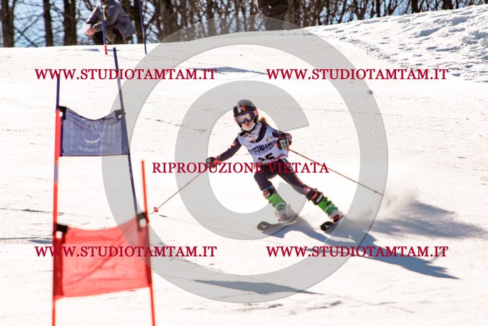 MAT_5402.jpg
