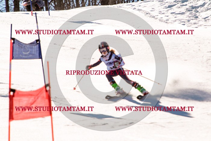 MAT_5403.jpg