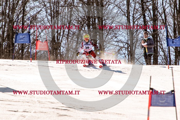 MAT_5409.jpg