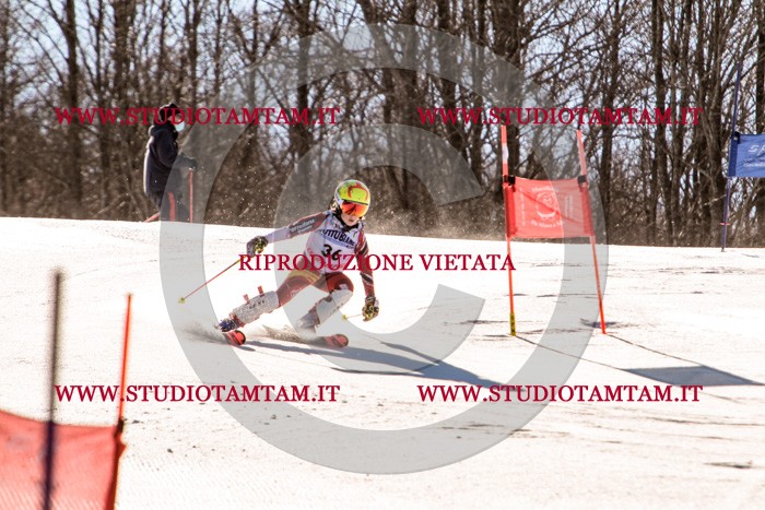 MAT_5410.jpg