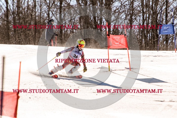 MAT_5411.jpg