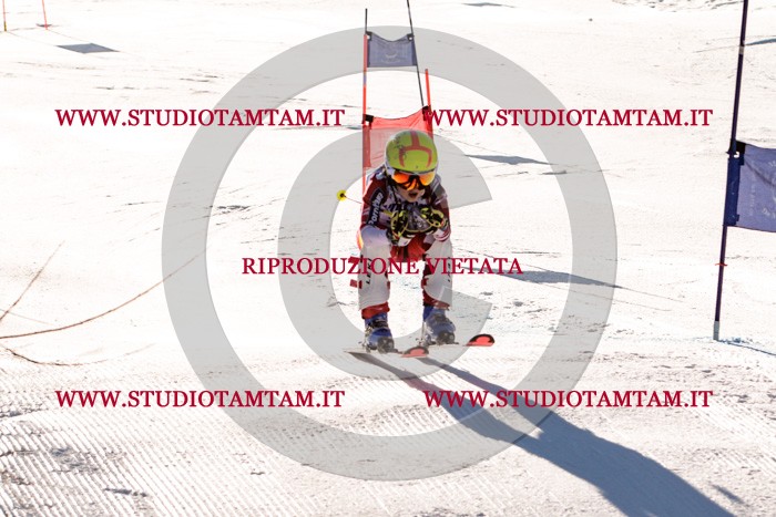 MAT_5415.jpg
