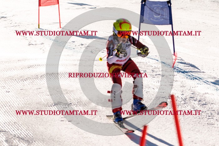 MAT_5417.jpg
