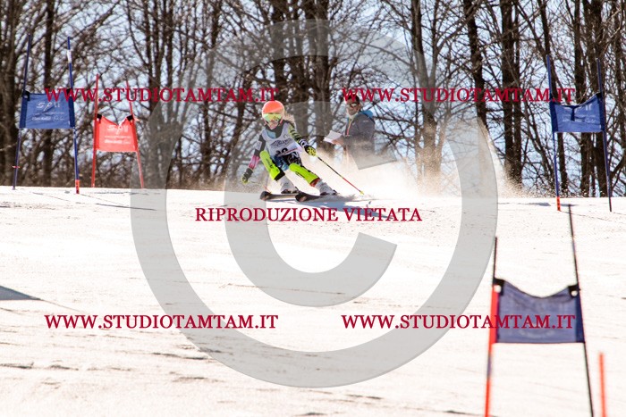 MAT_5431.jpg