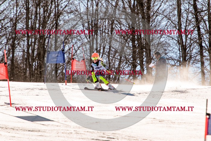 MAT_5432.jpg