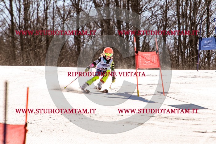 MAT_5433.jpg