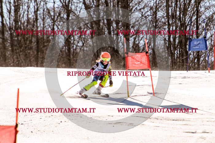 MAT_5434.jpg