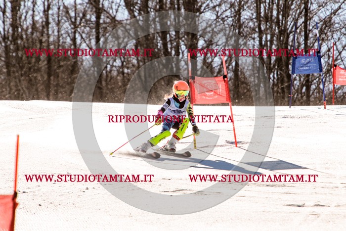 MAT_5435.jpg