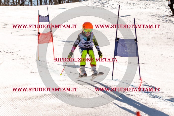 MAT_5438.jpg
