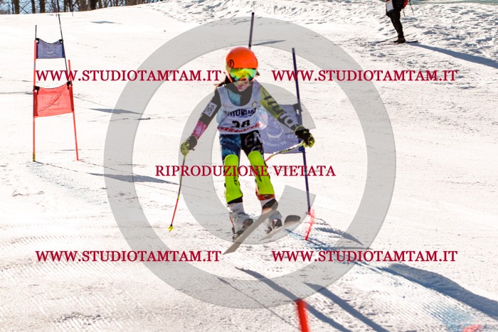 MAT_5439.jpg