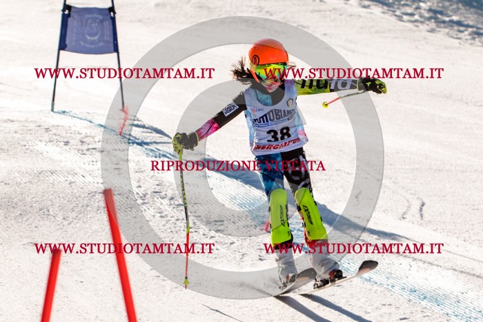 MAT_5441.jpg
