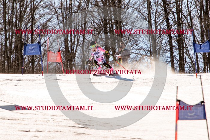 MAT_5444.jpg