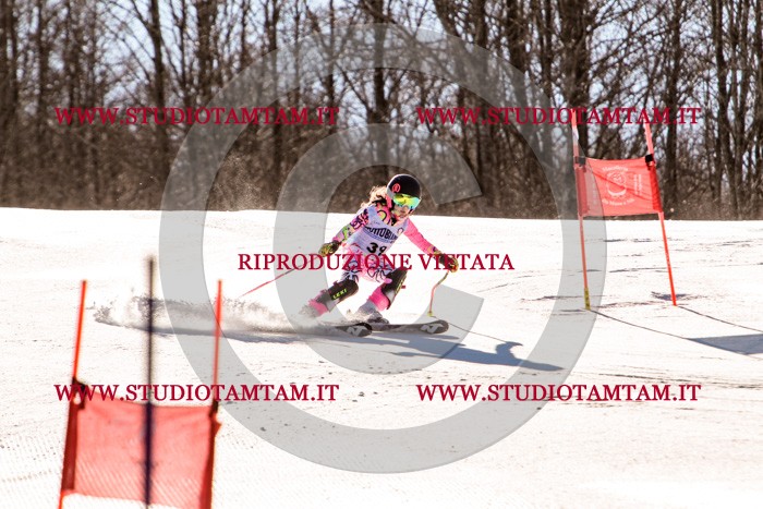 MAT_5445.jpg