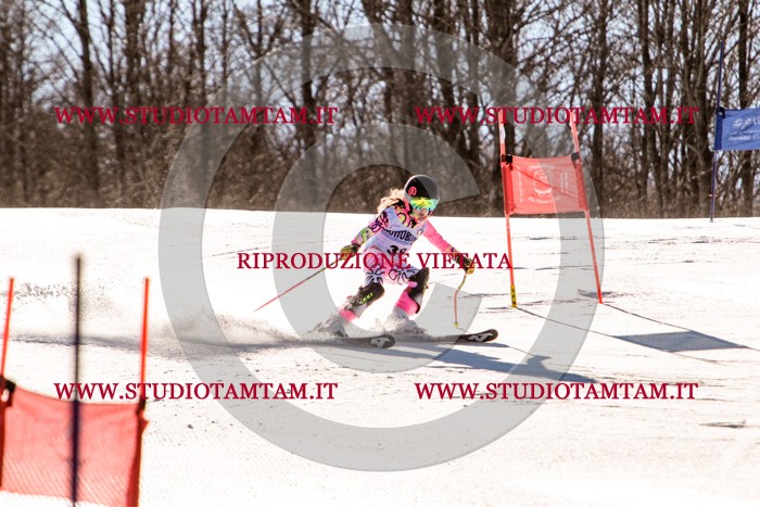 MAT_5446.jpg