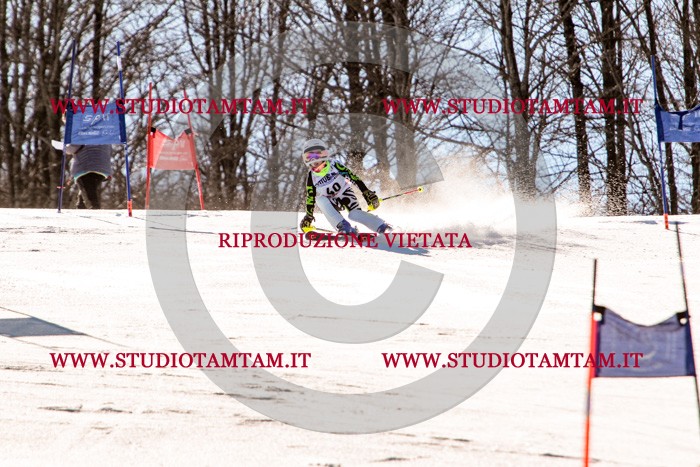 MAT_5453.jpg