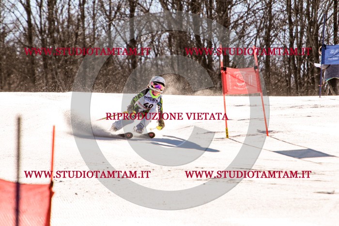 MAT_5454.jpg