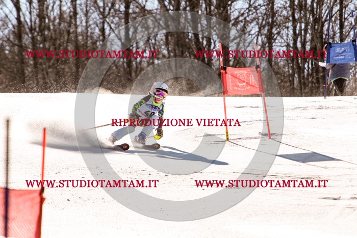 MAT_5455.jpg