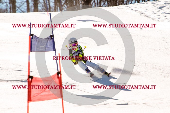 MAT_5457.jpg