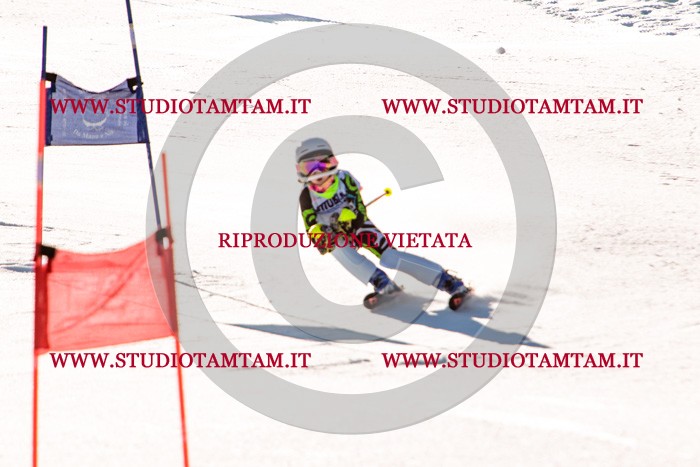MAT_5459.jpg