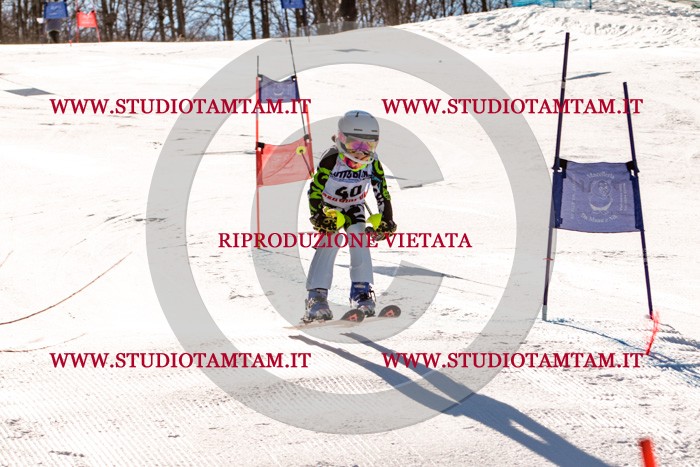 MAT_5460.jpg