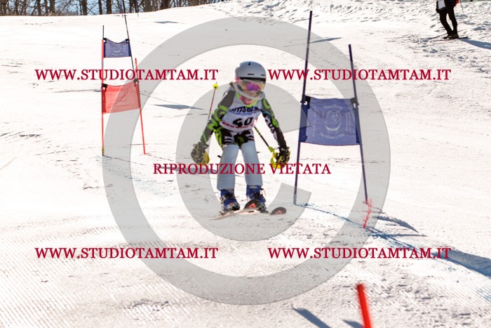 MAT_5461.jpg