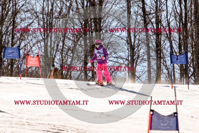 MAT_5464.jpg