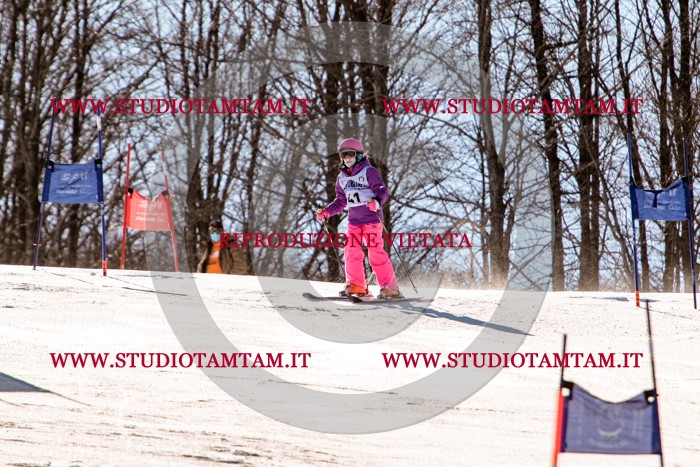 MAT_5465.jpg