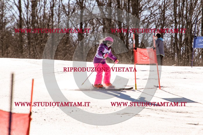 MAT_5467.jpg