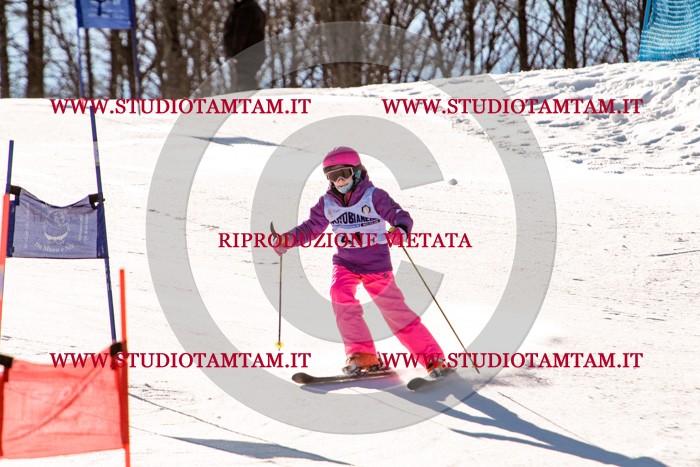 MAT_5468.jpg