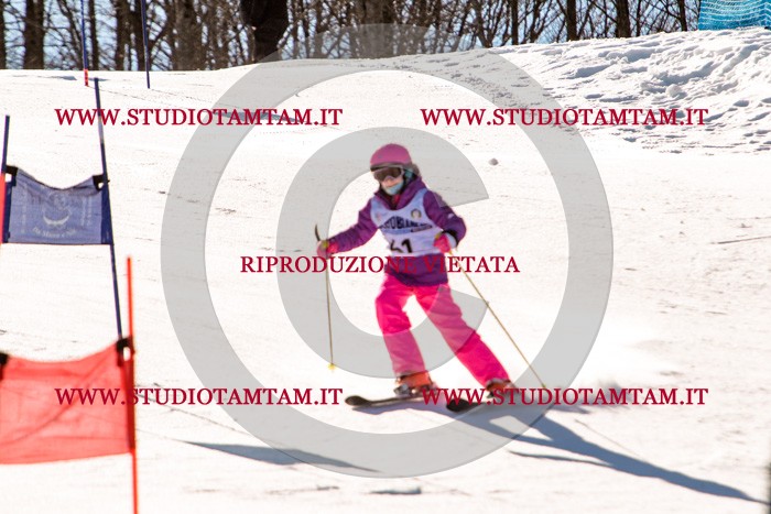 MAT_5469.jpg