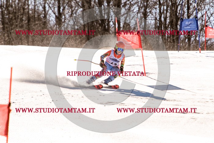 MAT_5478.jpg