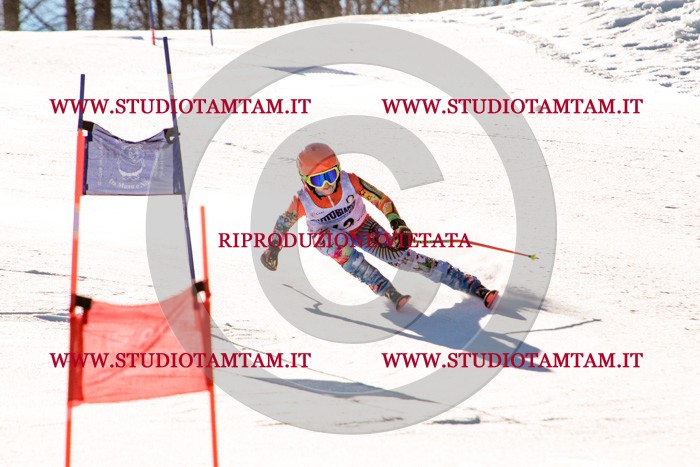 MAT_5479.jpg