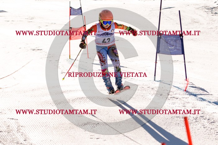 MAT_5483.jpg
