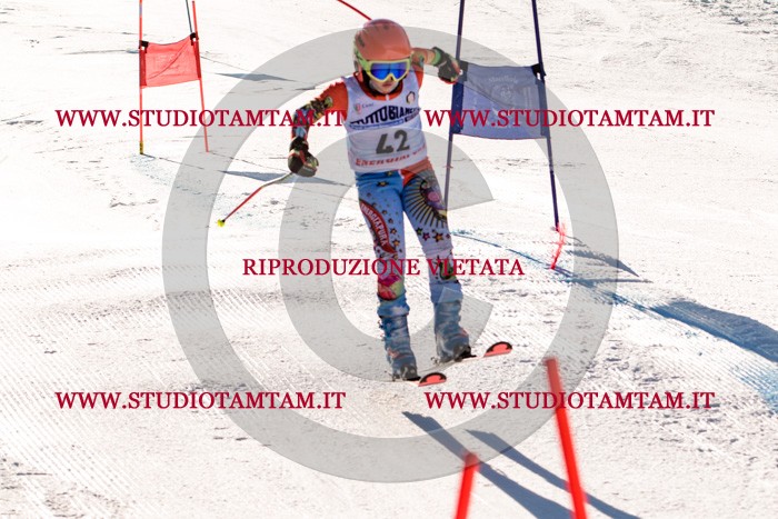 MAT_5484.jpg